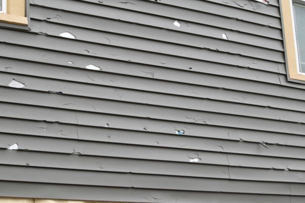 Best Insulated Siding Installation  in , NE