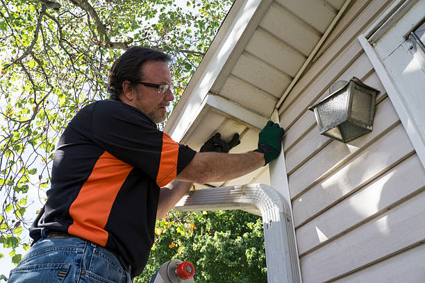 Best Custom Siding Design  in , NE
